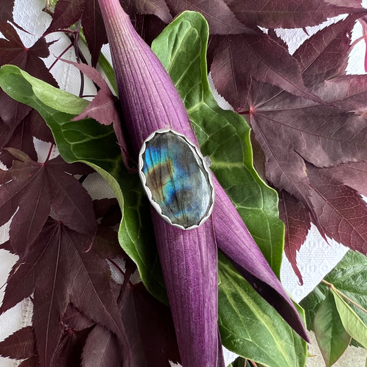 "Zaviar" Labradorite and Sterling Silver Ring