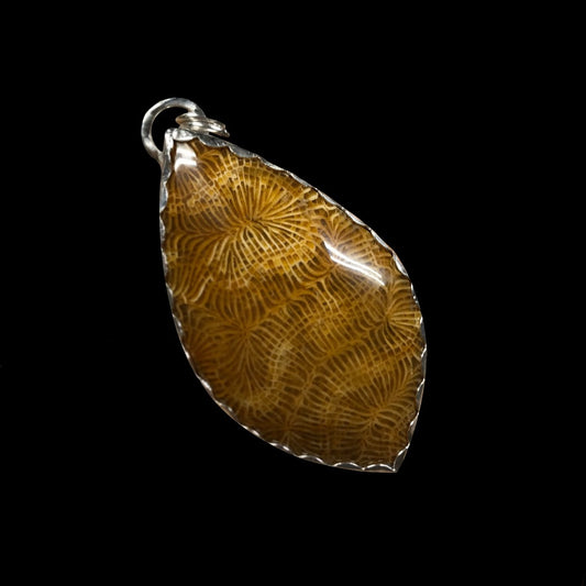 Milly - Fossil Coral & Sterling Silver Necklace