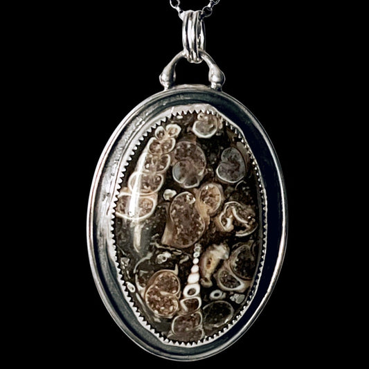 Turitella & Sterling Silver Necklace
